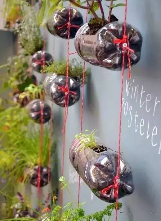 土壤栽培2.jpg 土壤栽培2.jpg