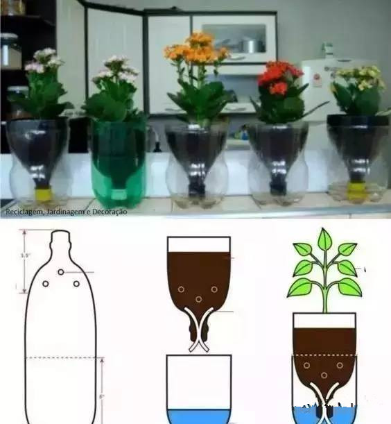 創(chuàng)意種菜.jpg 創(chuàng)意種菜.jpg